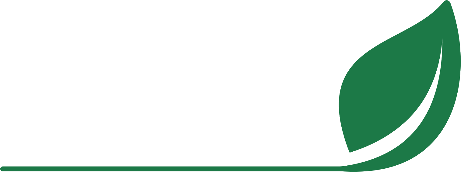 Zielony Audyt
